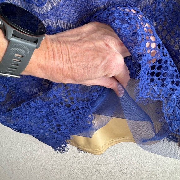 TADASHI SHOJI ‘Chantilly’ Lace Sheath ***DESIGNER*** - Picture 10 of 16